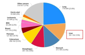 西黄胶囊治疗肝癌的临床疗效